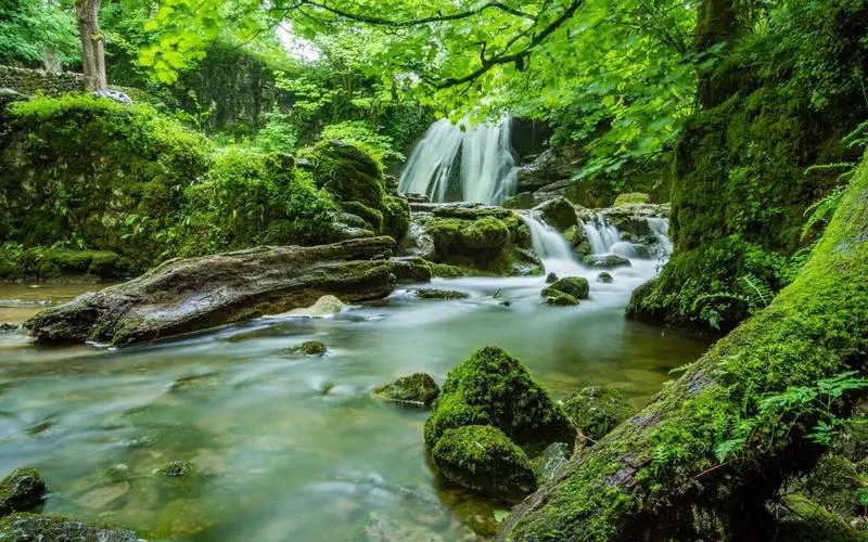 节能电子独特